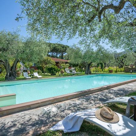 Agriturismo Buen Camino Scarlino Ngoại thất bức ảnh