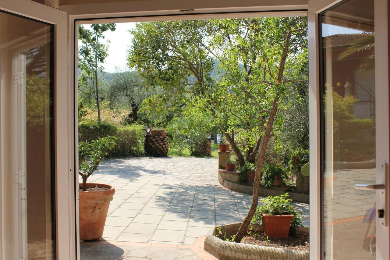 Agriturismo Buen Camino Scarlino Ngoại thất bức ảnh
