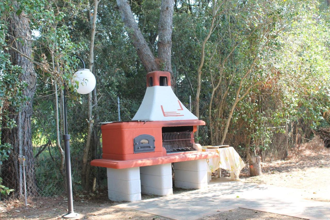 Agriturismo Buen Camino Scarlino Ngoại thất bức ảnh
