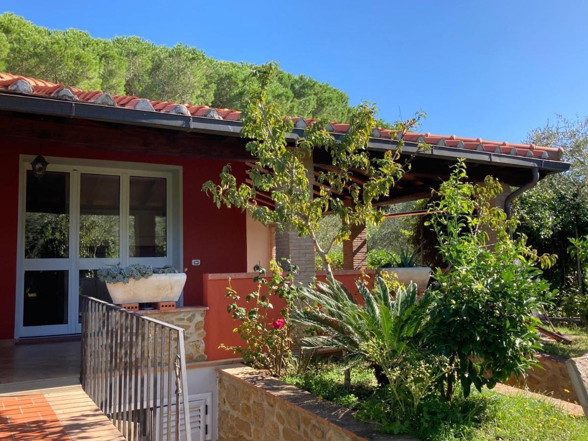 Agriturismo Buen Camino Scarlino Ngoại thất bức ảnh