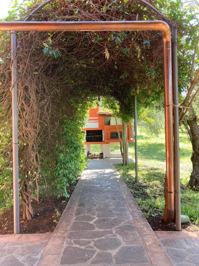 Agriturismo Buen Camino Scarlino Ngoại thất bức ảnh