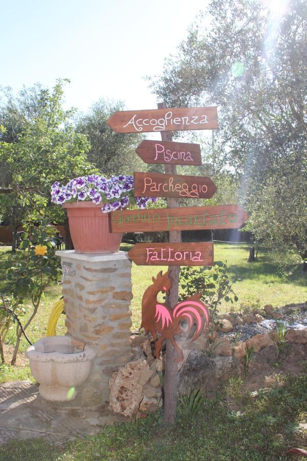 Agriturismo Buen Camino Scarlino Ngoại thất bức ảnh